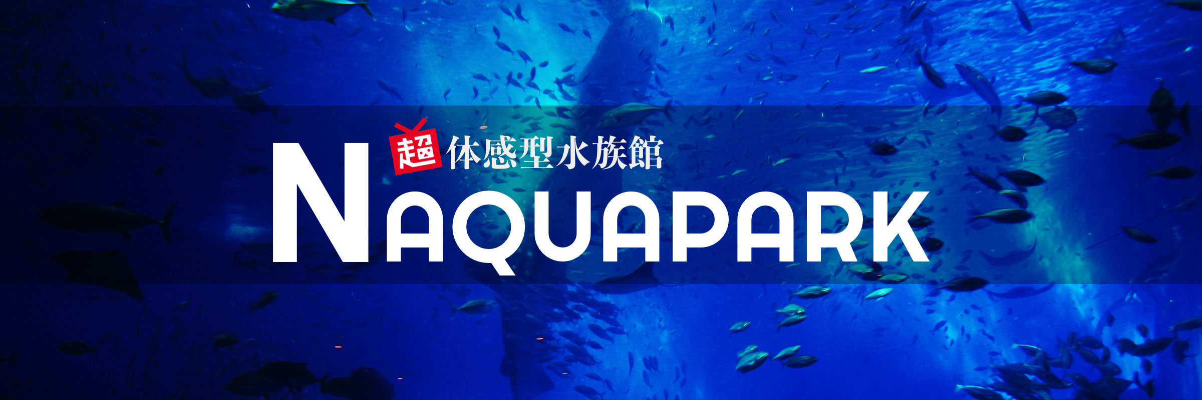 N水族館